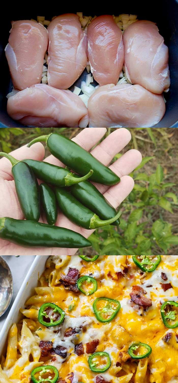 Jalapeno Popper Chicken Casserole