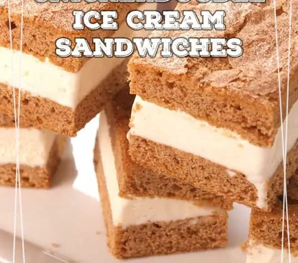 Snickerdoodle Ice Cream Sandwiches