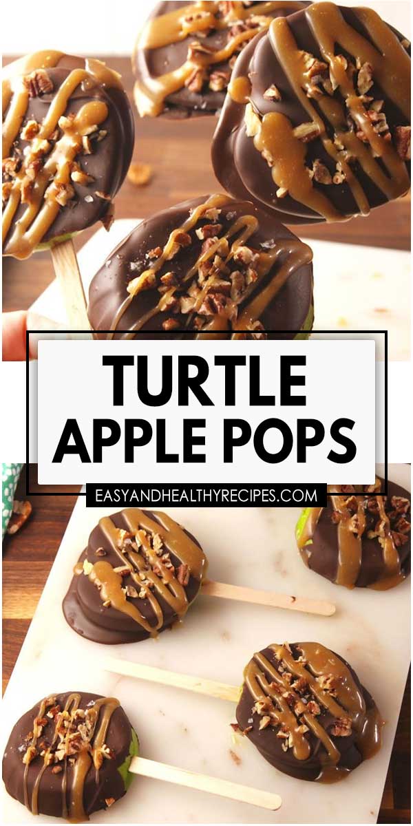 Turtle-Apple-Pops2